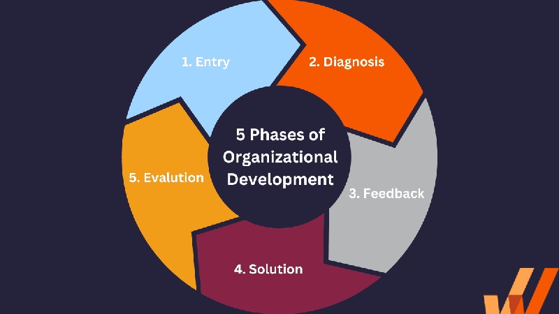 مراحل توسعه سازمانی