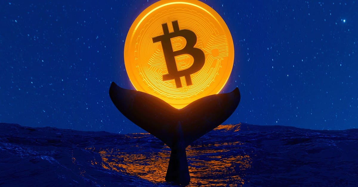 رفتار نهنگ‌ها چه تأثیری بر قیمت بیت‌کوین دارد؟