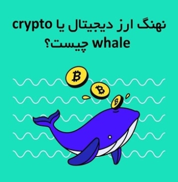 نهنگ ارز دیجیتال یا crypto whale چیست؟
